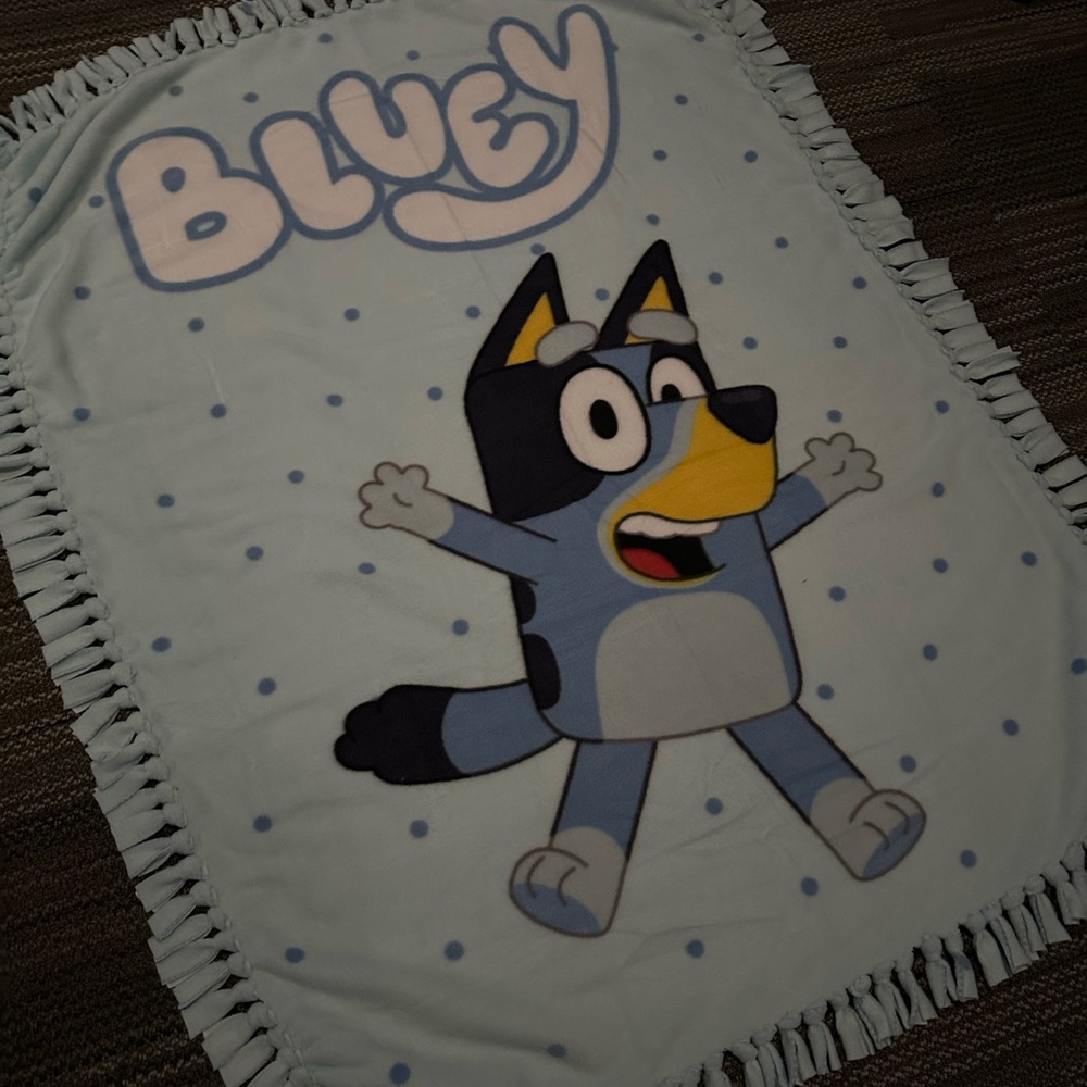 Bluey Character Blanket